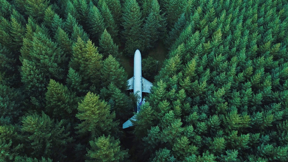 Fondo de pantalla del paisaje natural del bosque [12]